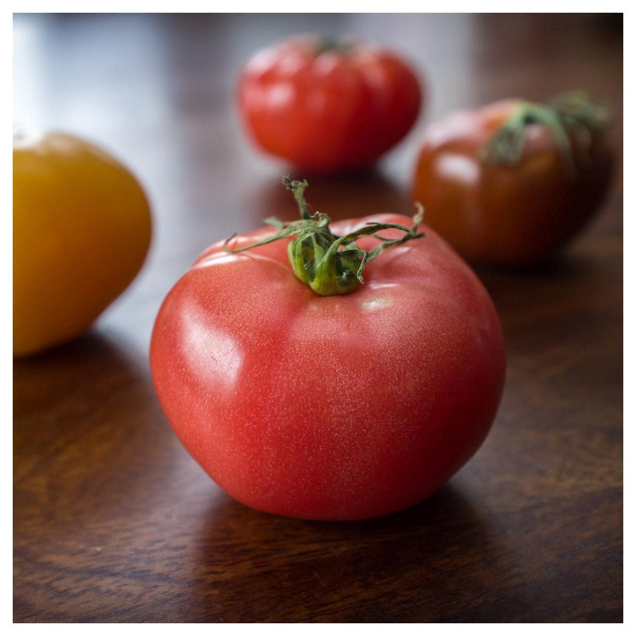 Everwilde Farms - 50 Eva Purple Ball Heirloom Tomato Seeds - Non-GMO, Organic, Open Pollinated - Gold Vault Seed Packet for Home Garden, Greenhouse & Urban Farming
