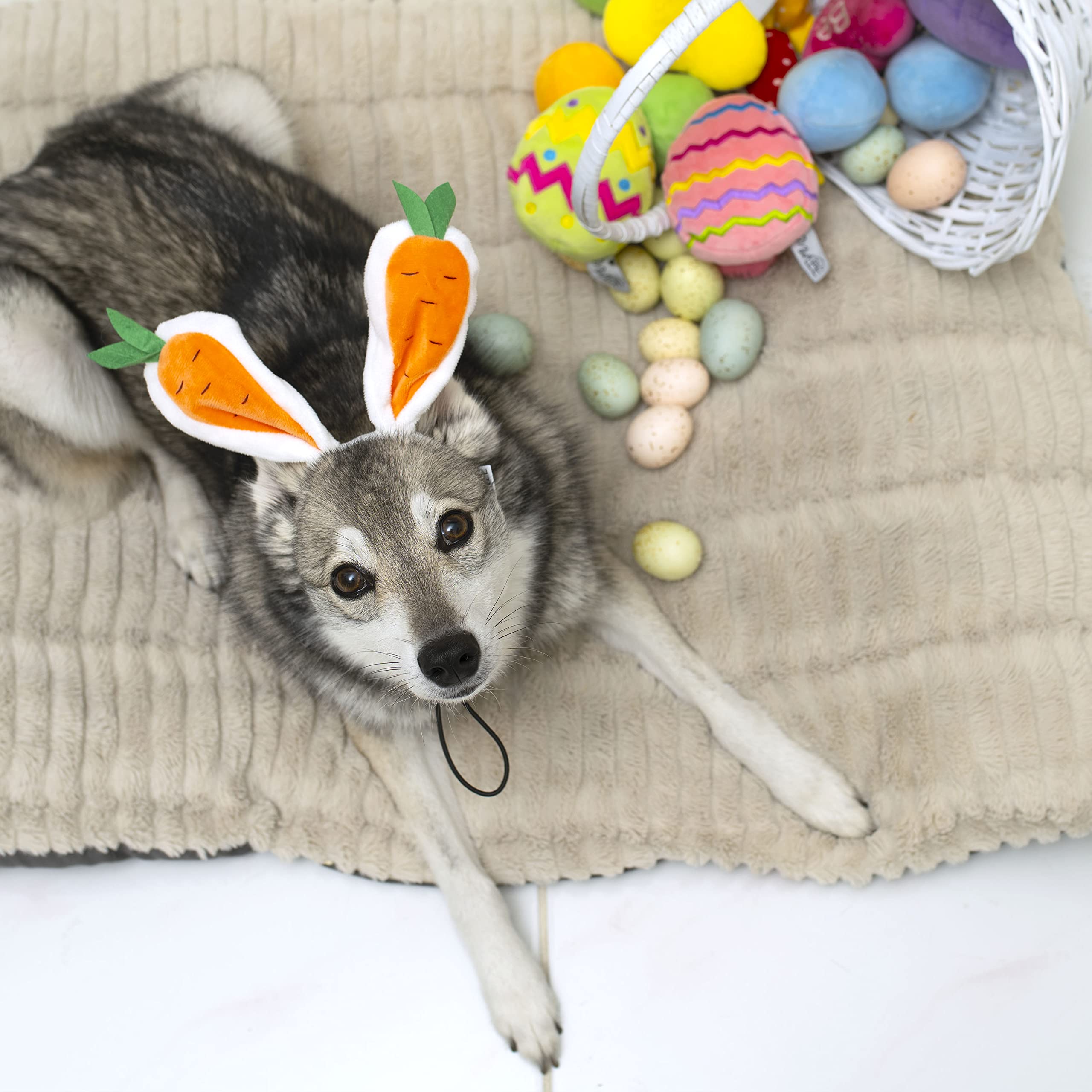 Midlee Carrot Bunny Ears Easter Dog Headband Costume for Large Dogs - Fun Pet Dress Up for Easter, Halloween & Photo Shoots