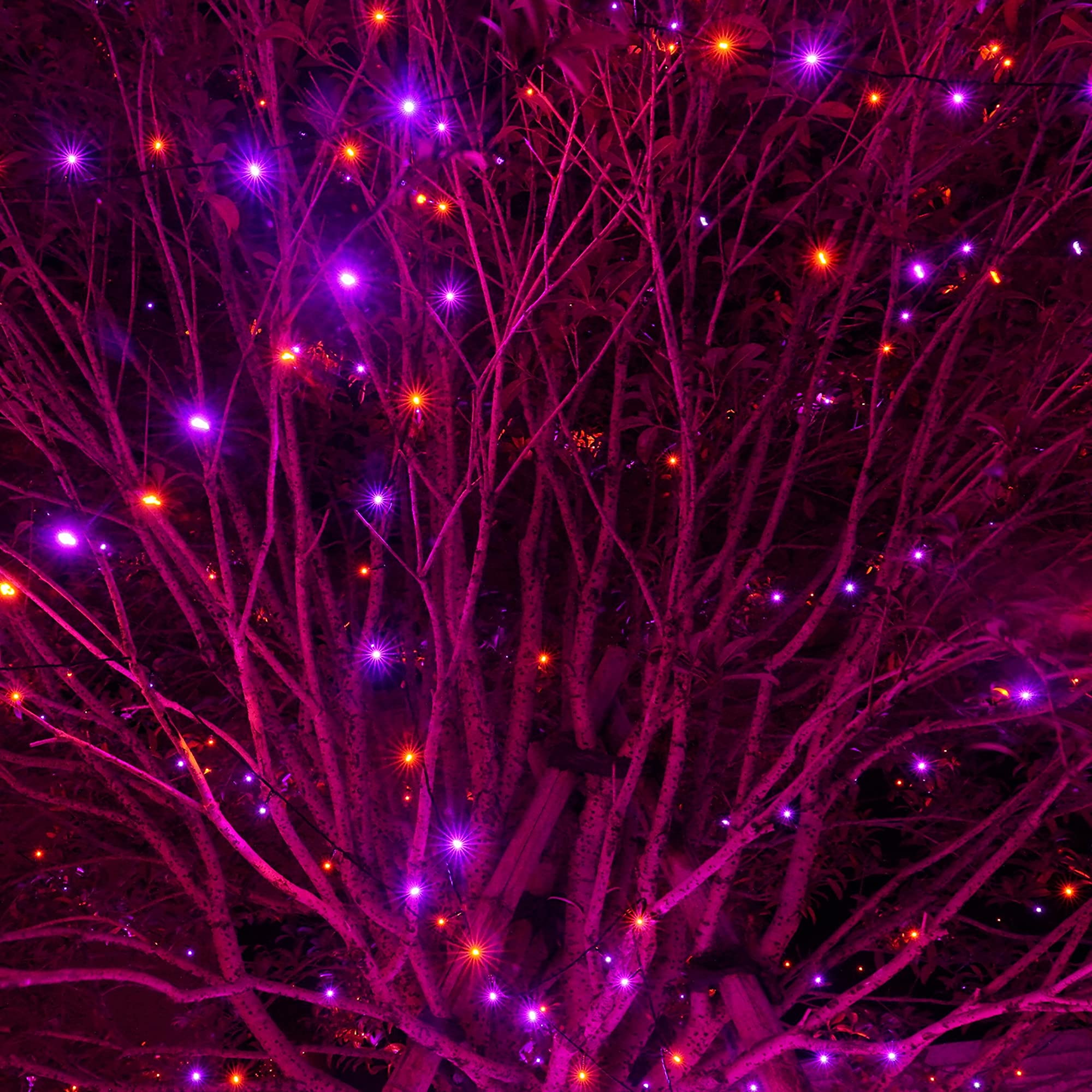 DAZZLE BRIGHT 300 LED Halloween String Lights - 100FT Outdoor Fairy Lights with 8 Lighting Modes, Waterproof for Halloween Party Decorations, Carnival Supplies, Yard & Garden Decor (Purple & Orange) - Perfect for Halloween Night, Backyard Parties, and Spooky Home Decor
