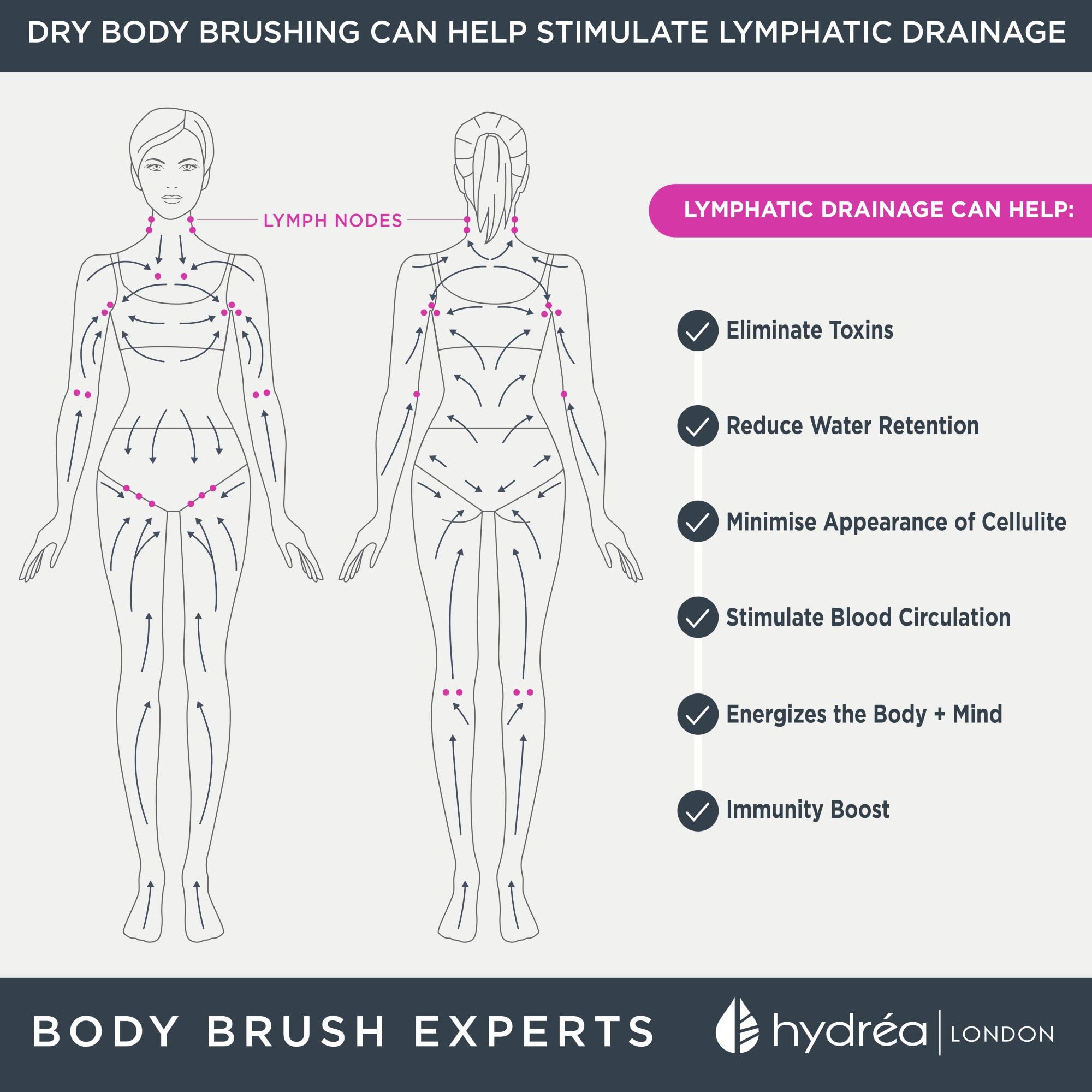 Hydrea Professional Body Brush with Natural Bristles - Medium Strength Exfoliating Brush for Dry Brushing, Cellulite & Lymphatic Drainage - Perfect for Spa, Shower & Home Skincare Routine