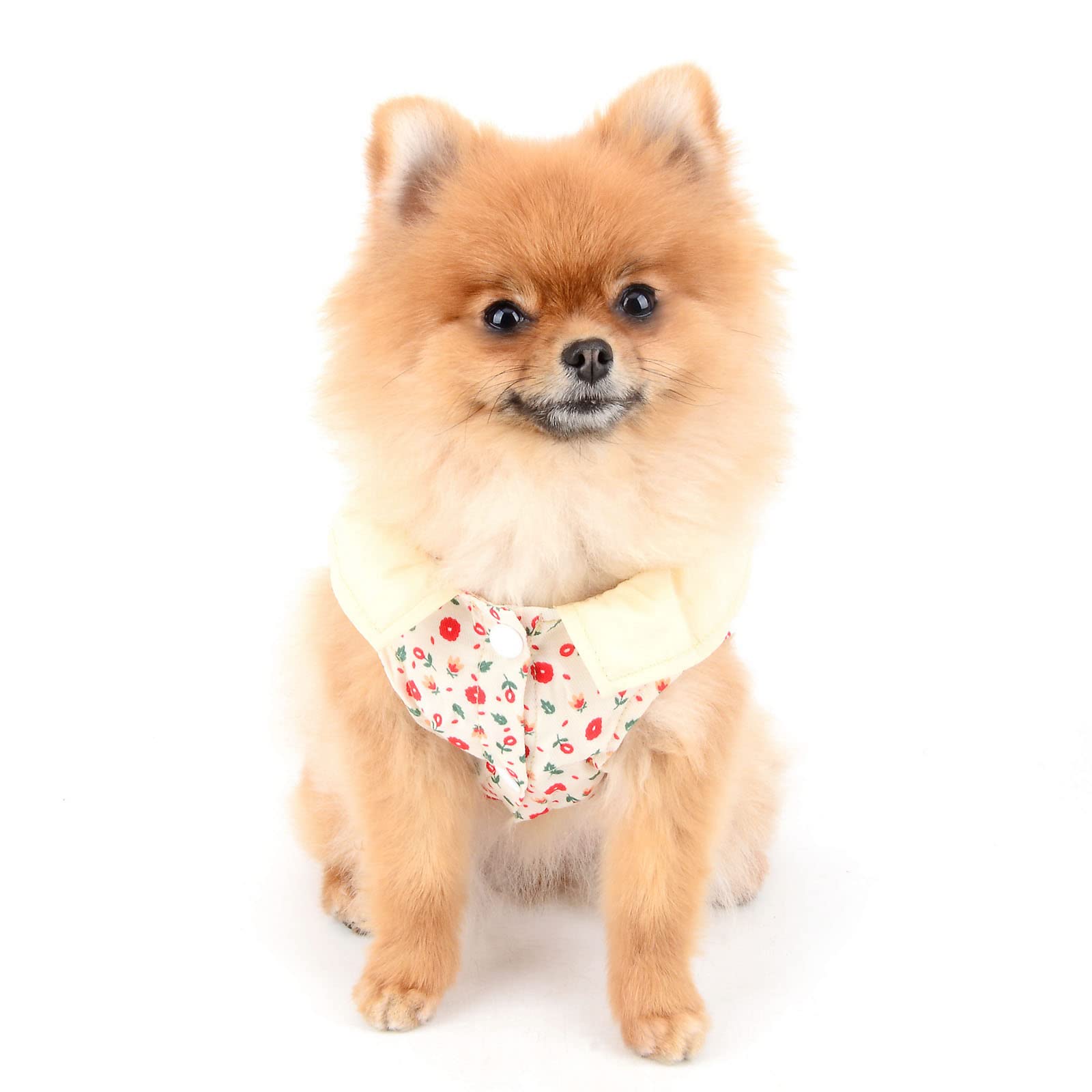 Small Dog Shirts & Cat Apparel - Floral Sleeveless Tank Top with Round Collar | Puppy Chihuahua Clothes for Girls | Cool Summer Pet T-Shirt for Indoor & Outdoor Activities | Red M