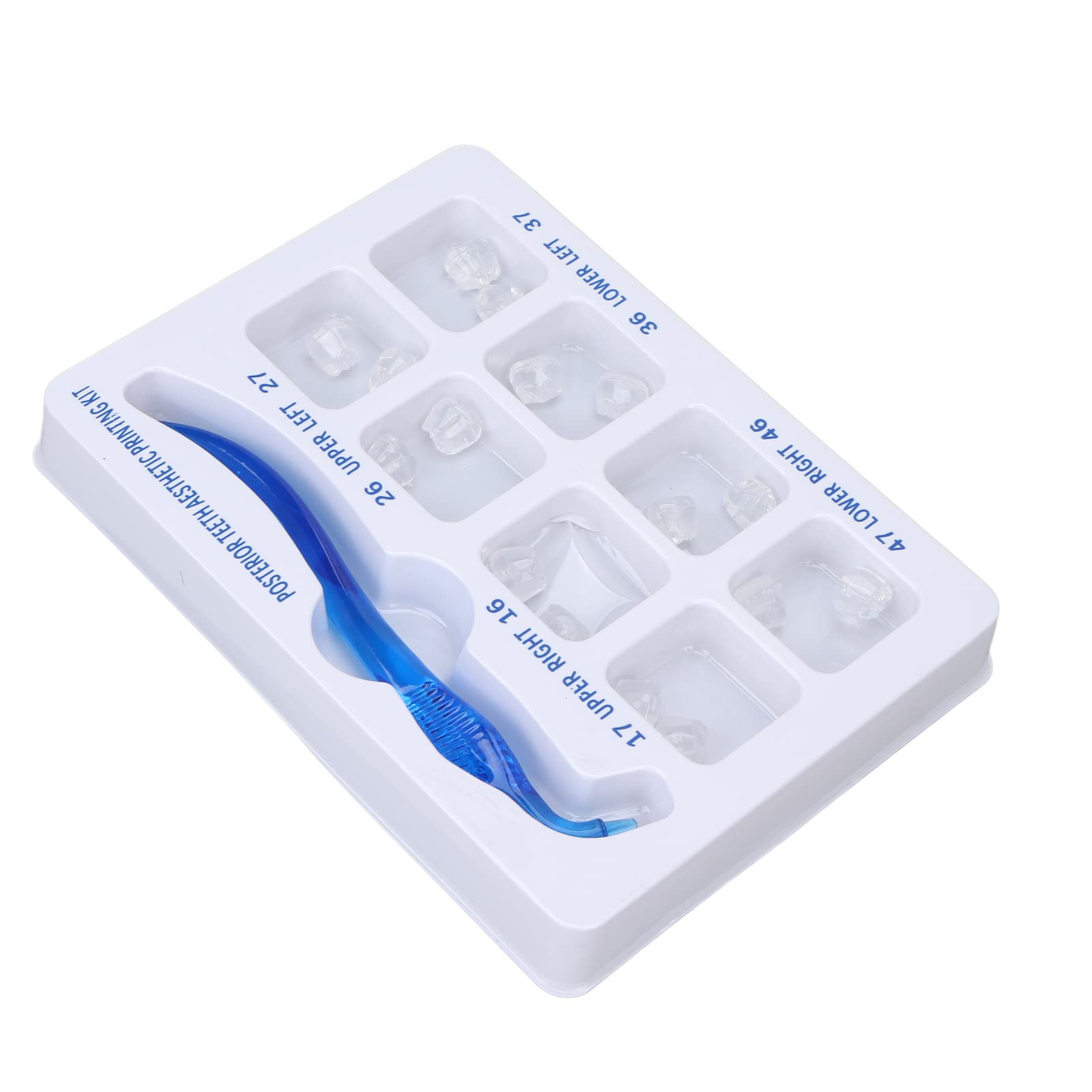 Dental Posterior Teeth Aesthetic Training Kit - Reusable Dental Restoration Filling Tools for Dentists | Perfect for Dental Practice, Clinical Training & Cosmetic Dentistry Procedures