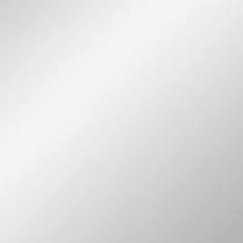 Frosted Glass Shades