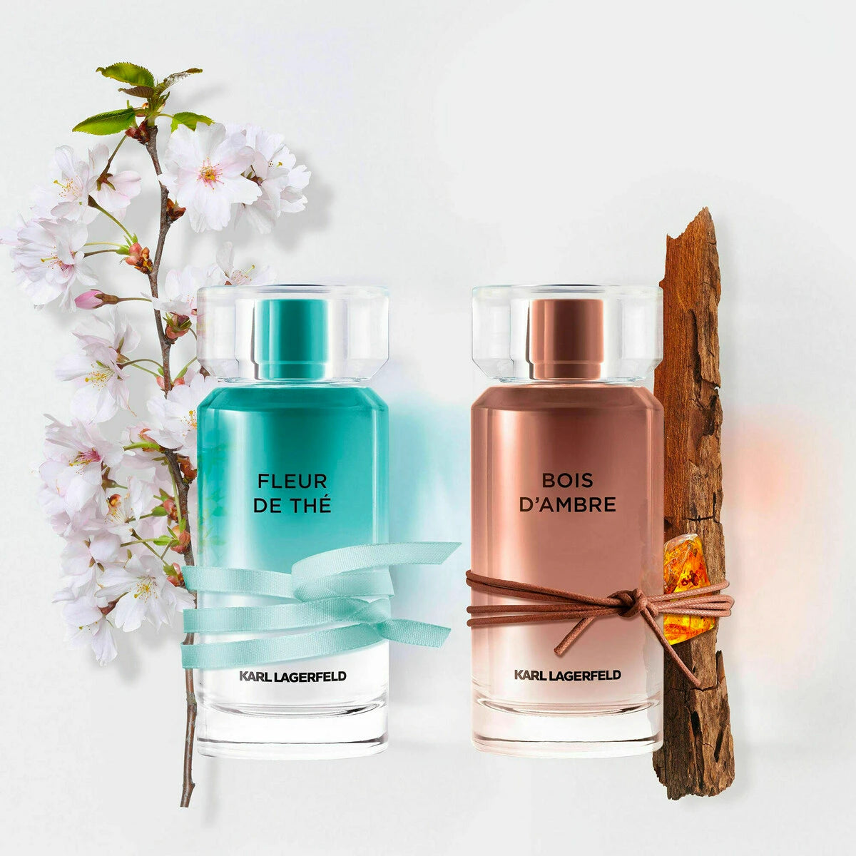 Bois De Ambre 3.4 oz Eau de Toilette for Men - Long Lasting Fragrance for Date Night, Office & Special Occasions
