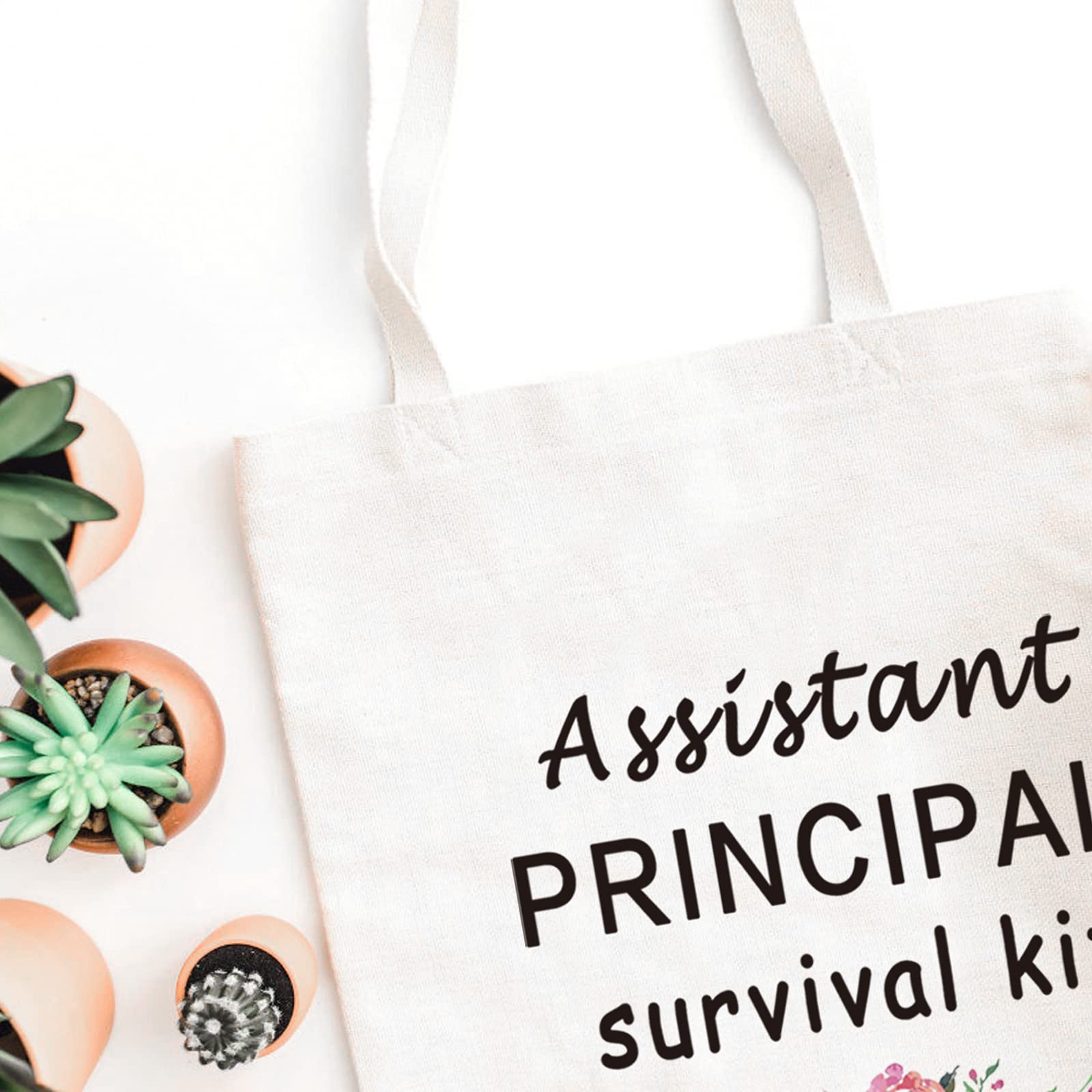 Funny Assistant Principal Survival Kit Zipper Pouch - Cute Makeup Bag for School Administrators - Perfect Gift for Teacher Appreciation, Back to School & Office Essentials