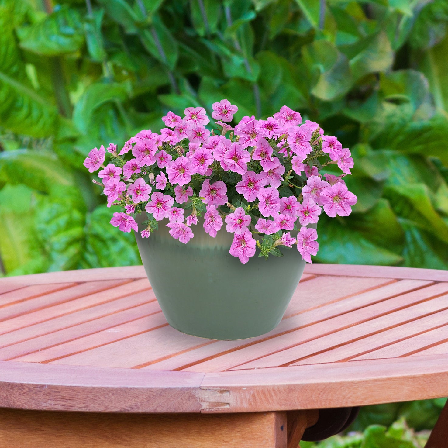 Sunnydaze Chalet Round Glazed Ceramic Planter with Drainage Hole - Outdoor Garden Flower Pot for Patio, Balcony & Home Decor