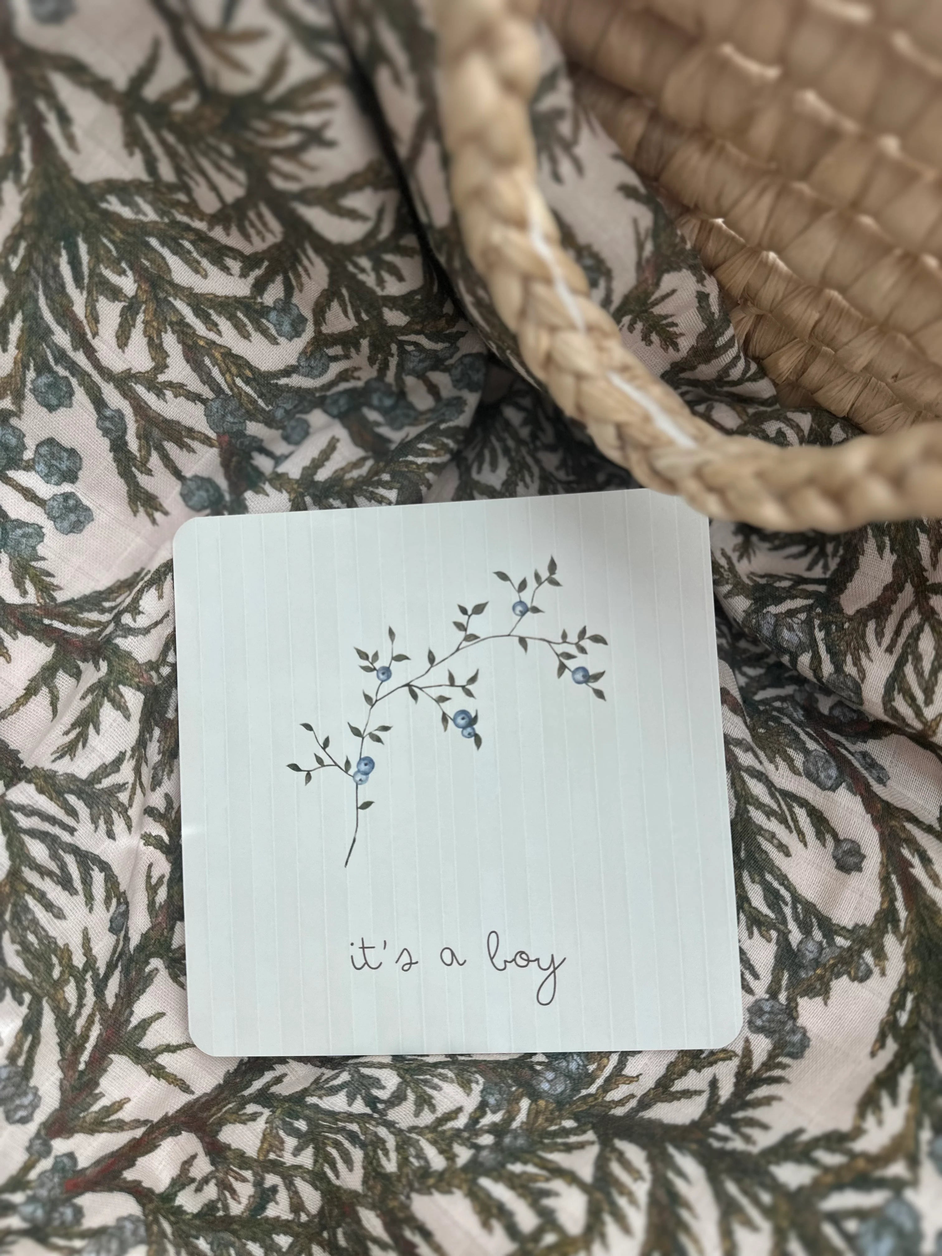 Pop Ya Tot Botanical Milestone Card Set - Baby Growth Photo Props & Newborn Memory Keepsake - Perfect for Monthly Baby Pictures, First Birthday, and Nursery Decor