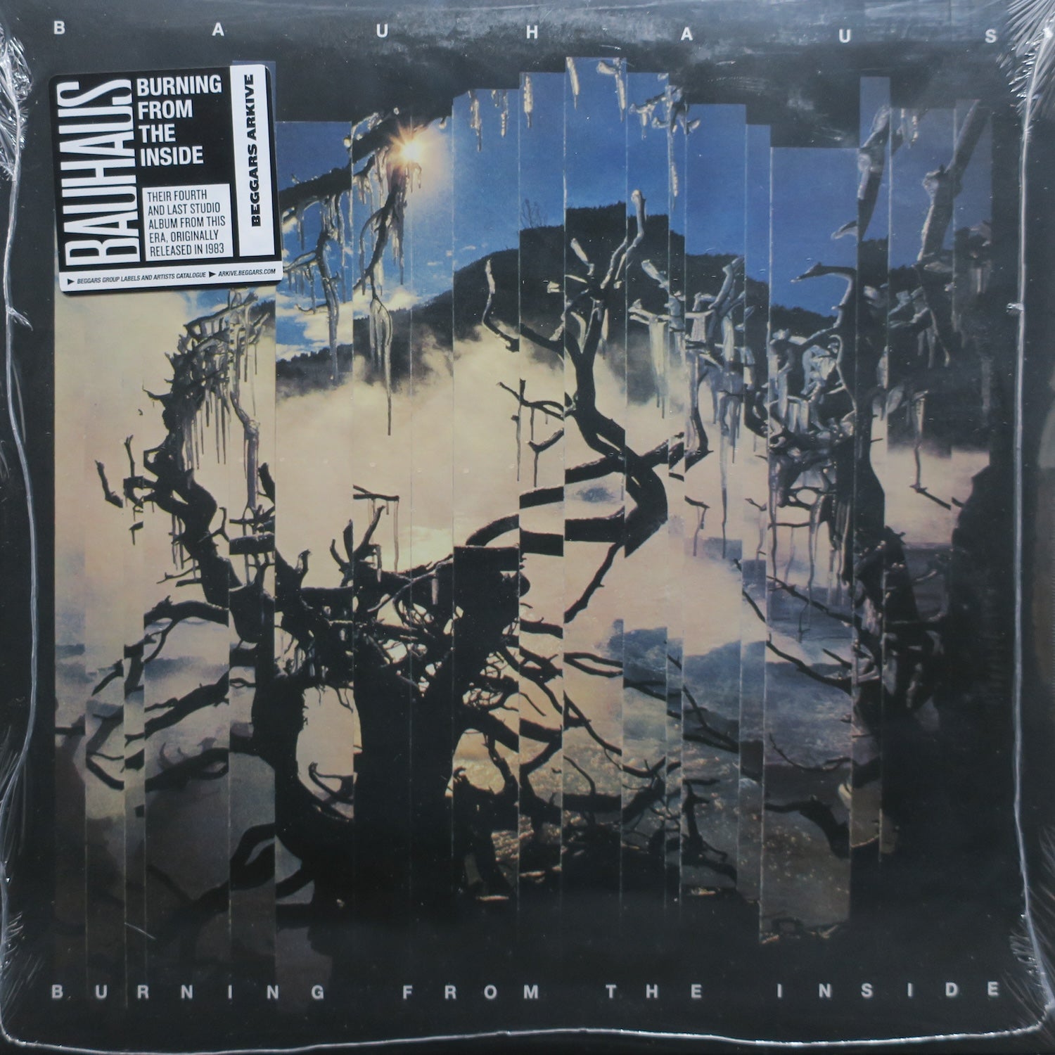 BAUHAUS 'Burning From The Inside' Remastered Vinyl LP | Limited Edition Goth Rock Record | Perfect for Music Collectors & Goth Enthusiasts