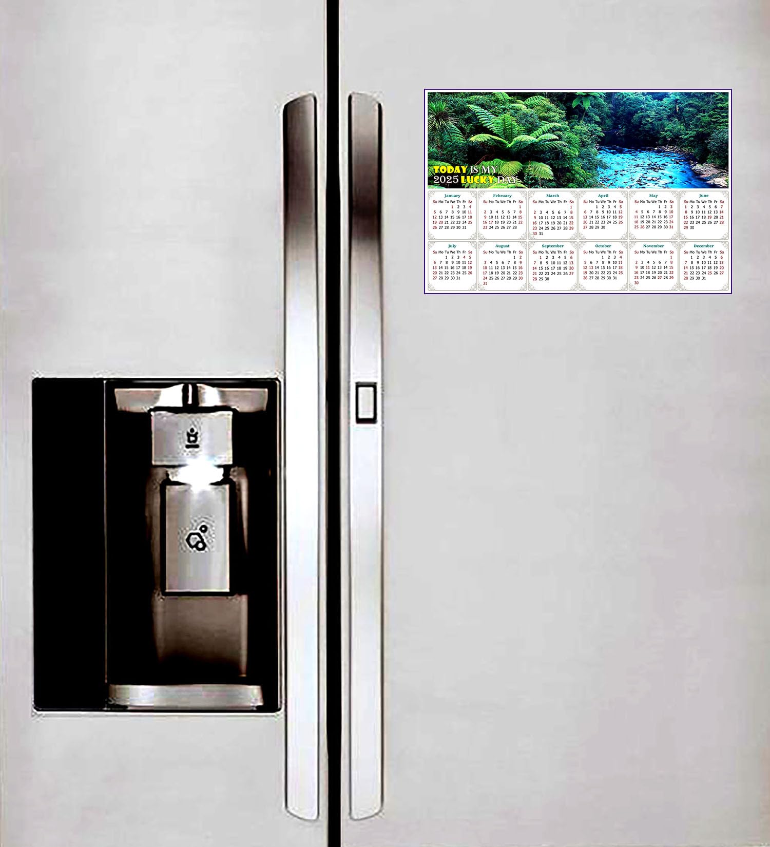 2025 Magnetic Calendar - Durable Fade, Tear & Water Resistant Calendar Magnets - 