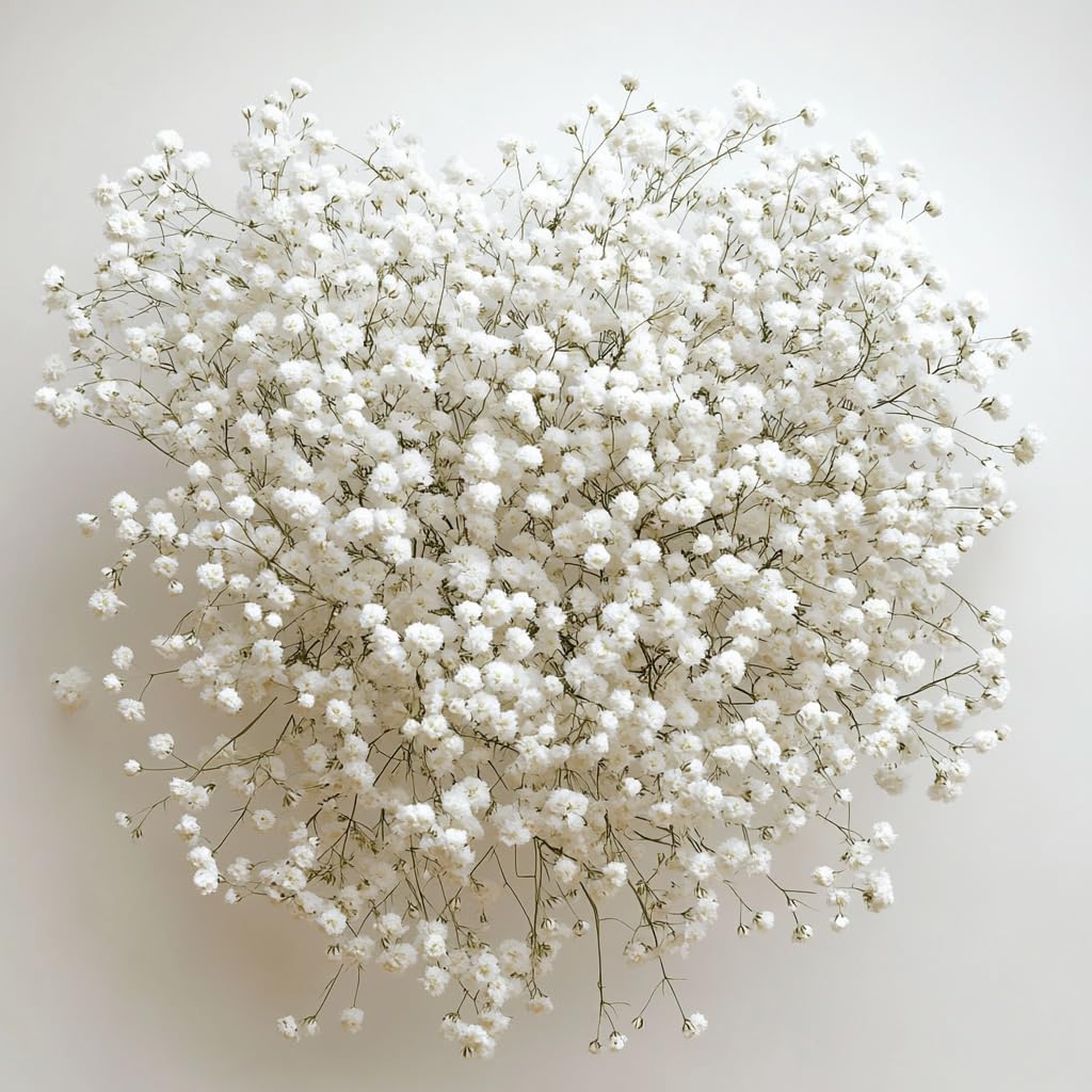 120 Stems Fresh Cut Gypsophila (Baby's Breath) Flowers - Perfect Wedding Bouquet Filler, Bridal Shower Decor, Centerpiece Arrangement - Ideal for Weddings, Baby Showers, Events & Home Decor