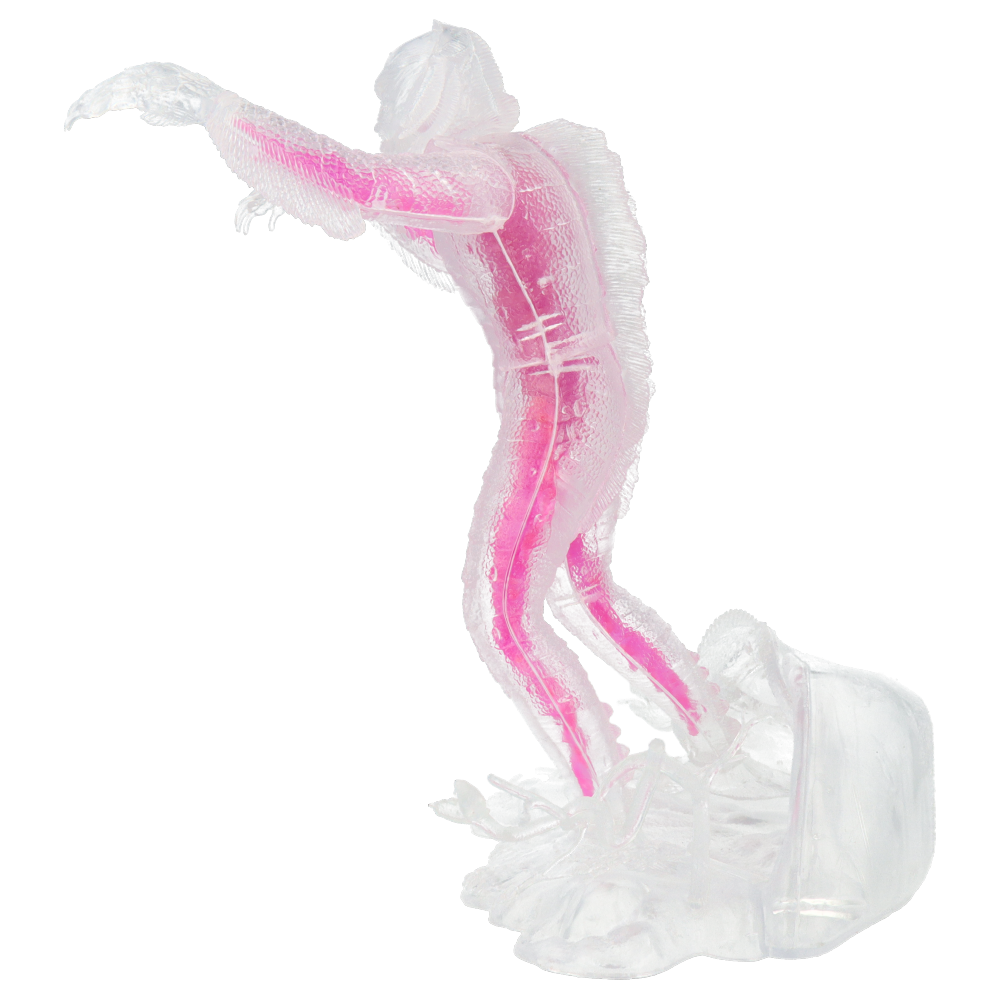Creature from the Black Lagoon Clear Model Kit - Classic Horror Movie Collectible for Display & DIY Projects