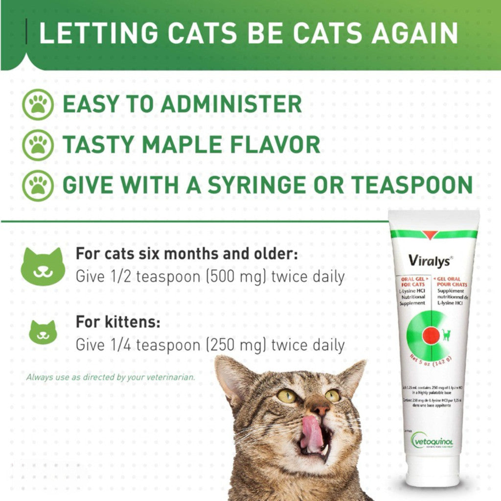 Viralys Gel 5oz - Immune Support Supplement for Cats & Kittens | Maple Flavor | Promotes Healthy Immune System | Ideal for Daily Use & Recovery Scenarios
