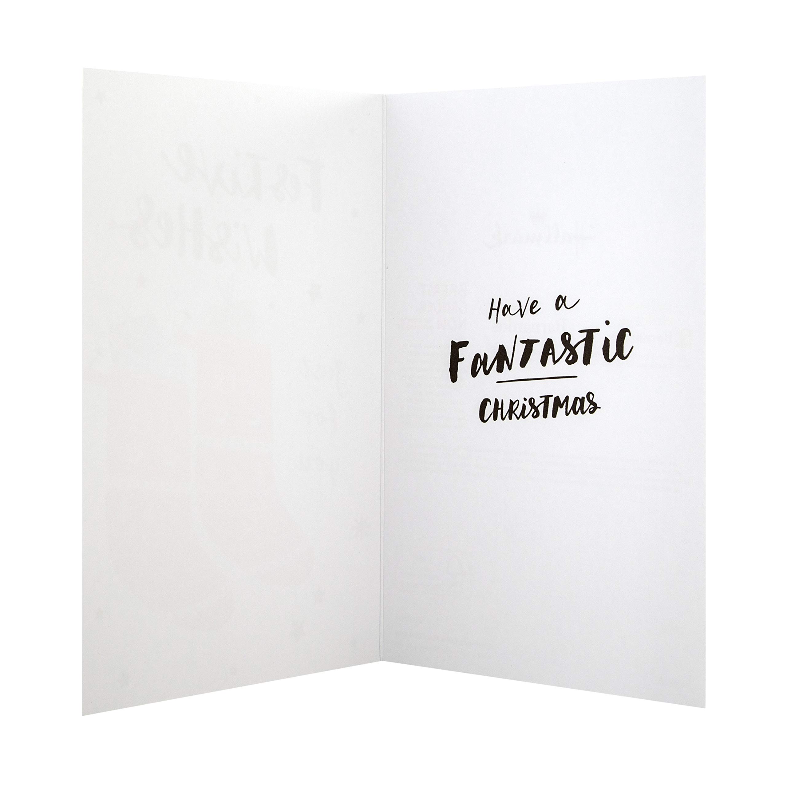 Hallmark Christmas Charity Cards - 12 Boxed Holiday Greeting Cards with 2 Modern Illustrated Designs | Perfect for Gifts, Office Exchanges & Festive Home Decor