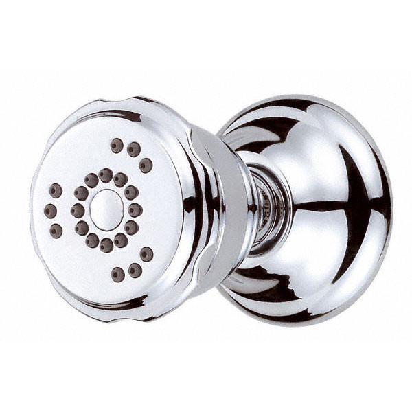 Danze Chrome Traditional Two-Function Swivel Wall Mount Shower Body Spray - Perfect for Bathroom Renovation & Spa-Like Shower Experience