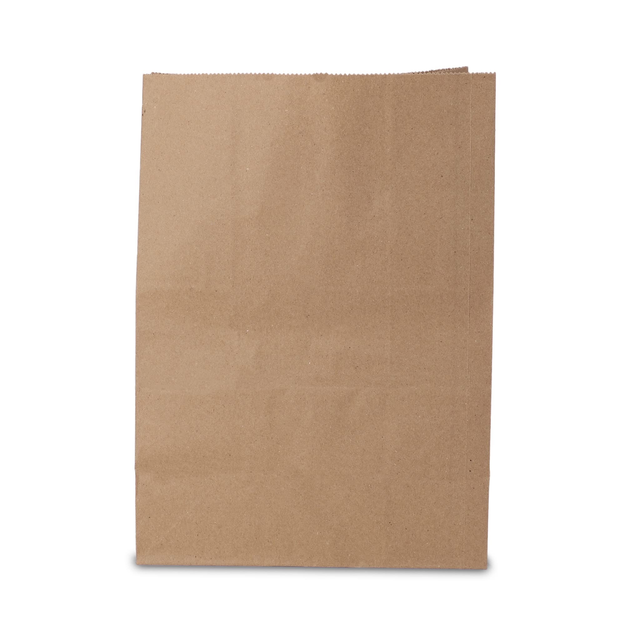 Eco-Friendly Brown Kraft Paper Bags - 10x5x14 Inches, Pack of 15 | Recycled Carry/Gift/Grocery Bags for Shopping, Parties & Sustainable Packaging