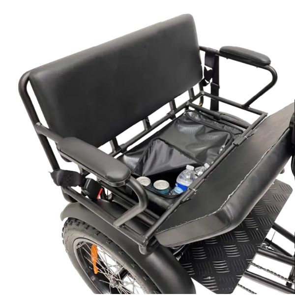 Go Bike FORTE Electric Tricycle for Adults with Rear Seat - Commuter, Grocery Shopping & Family Outings Electric Trike