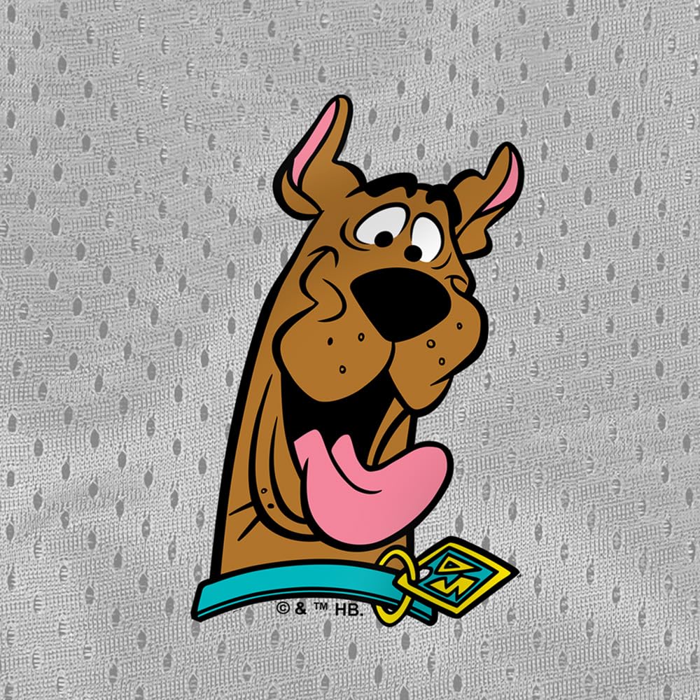 **Popfunk Scooby-Doo Collection Men's Lined Mesh Shorts - Comfortable & Breathable for Summer, Gym, and Casual Wear**