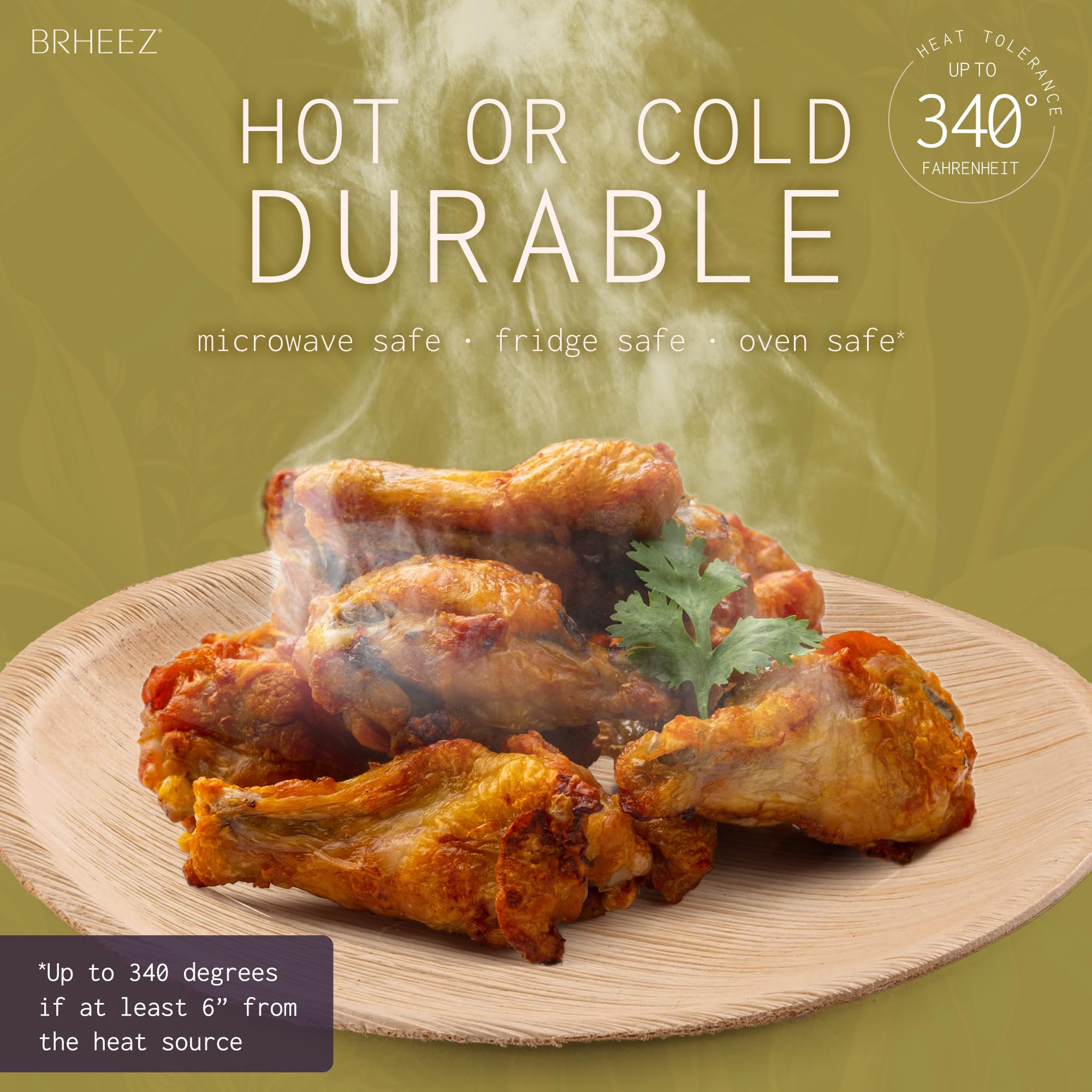 Eco-Friendly 9 Inch Palm Leaf Plates (25 Count) - Biodegradable & Compostable Disposable Dinnerware - Sturdy Bamboo-Look Plates for Parties, Picnics, BBQs & Sustainable Events - Better Than Paper Plates