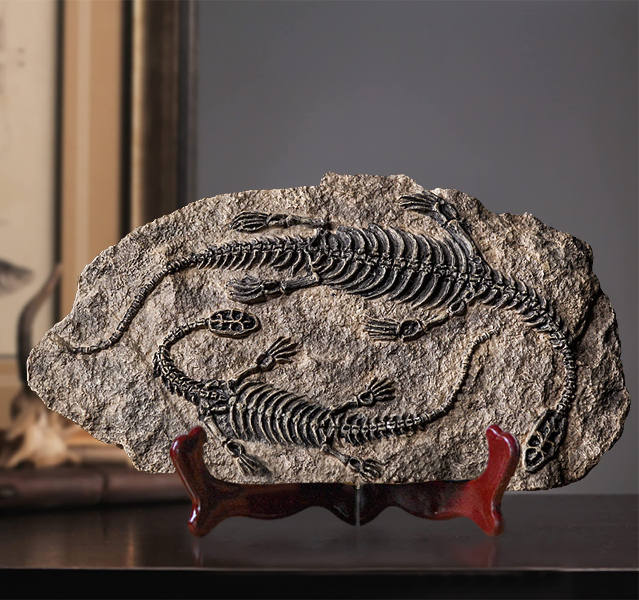 LAGOM HOUSE Plesiosaur Dinosaur Fossil Statue - Realistic Resin Dinosaur Model for Home Decor, Adult Collectibles & Educational Display | Perfect for Jurassic Themed Room, Office Decor, and Paleontology Enthusiasts