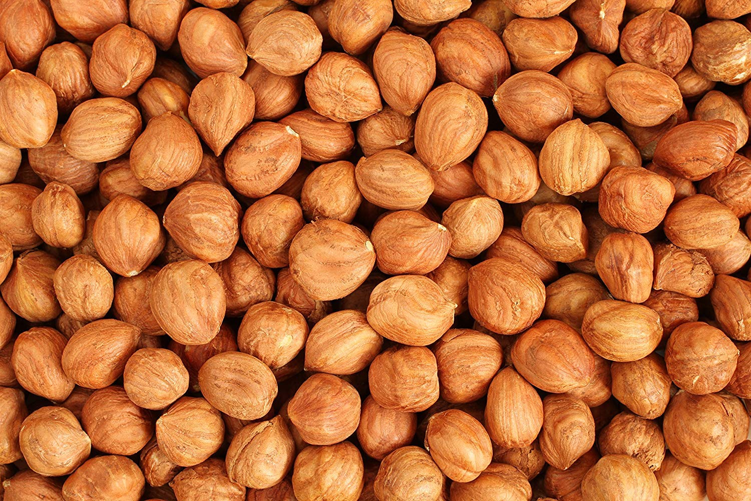 Organic Raw Hazelnuts with Skin, 2.2 lb (35.2 oz) - Gluten-Free, Kosher, Unsalted, Unroasted | High in Fiber & Iron | Healthy Snack for Baking, Cooking, Trail Mix & Desserts | Premium Quality Filberts for Nut Butters, Granola & Vegan Recipes