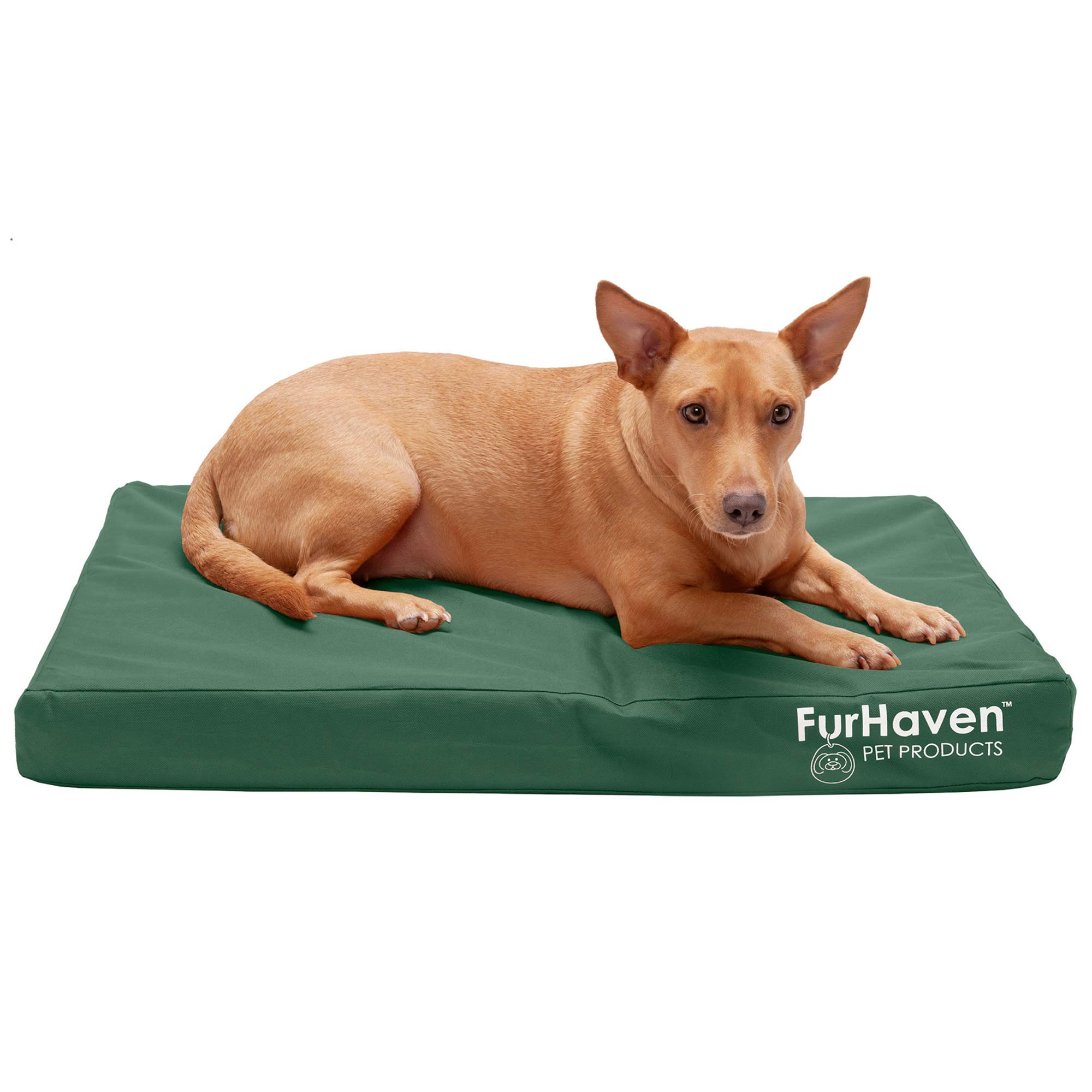 Furhaven Water-Resistant Orthopedic Dog Bed with Removable Cover - Indoor/Outdoor Logo Oxford Polycanvas Mattress for Medium Dogs up to 125 lbs (Forest Green) - Perfect for Home, Office & Travel Use