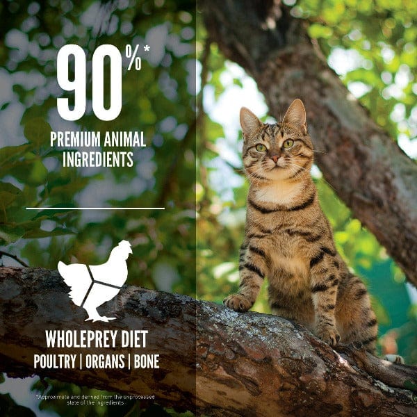 Orijen Guardian 8 Cat Dry Food - Premium Grain-Free Dry Cat Food for Adult Cats - High Protein, Natural Ingredients - Perfect for Indoor & Outdoor Cats - Supports Healthy Digestion & Immune System - Ideal for Daily Feeding & Weight Management
