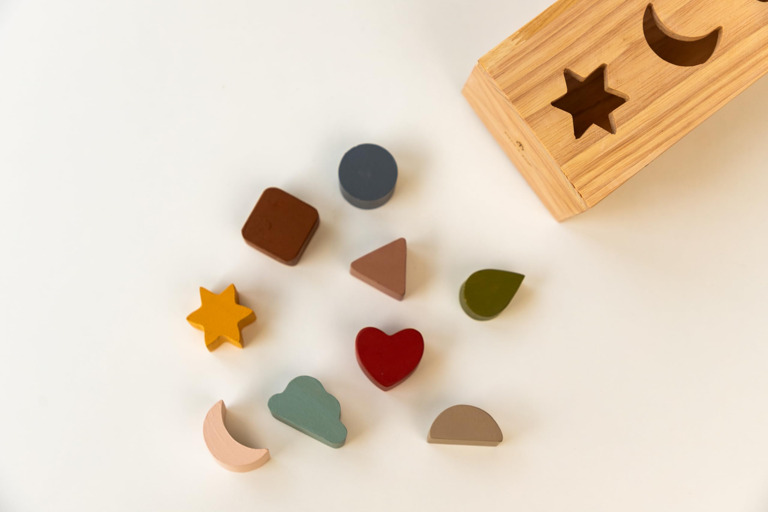BIRCH & BUG Wooden Shape Sorting Puzzle Box - Montessori Learning Toy for Toddlers - Perfect for Early Childhood Education & Home Playtime