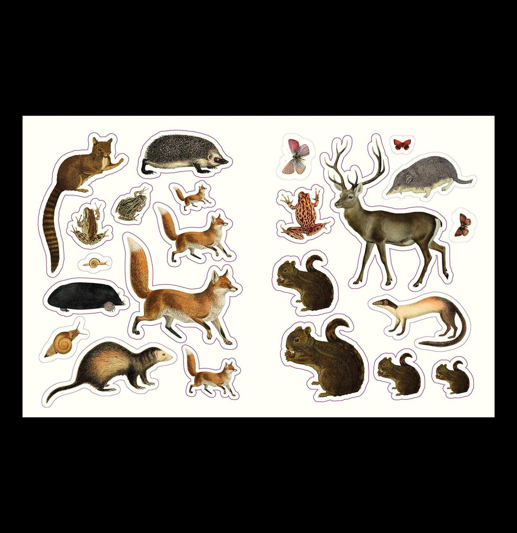 Forest Fairies and Fungi Sticker Book - Creative Stickers for Kids, Nature Lovers & Scrapbooking - Perfect for DIY Crafts, Journaling & Home Decor