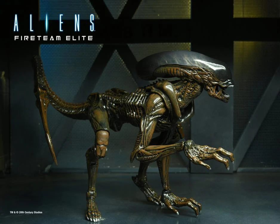 Aliens: Fireteam Elite Runner Alien Action Figure - Collectible Toy for Sci-Fi Fans & Movie Enthusiasts - Perfect for Display, Gifts, and Role-Playing Games