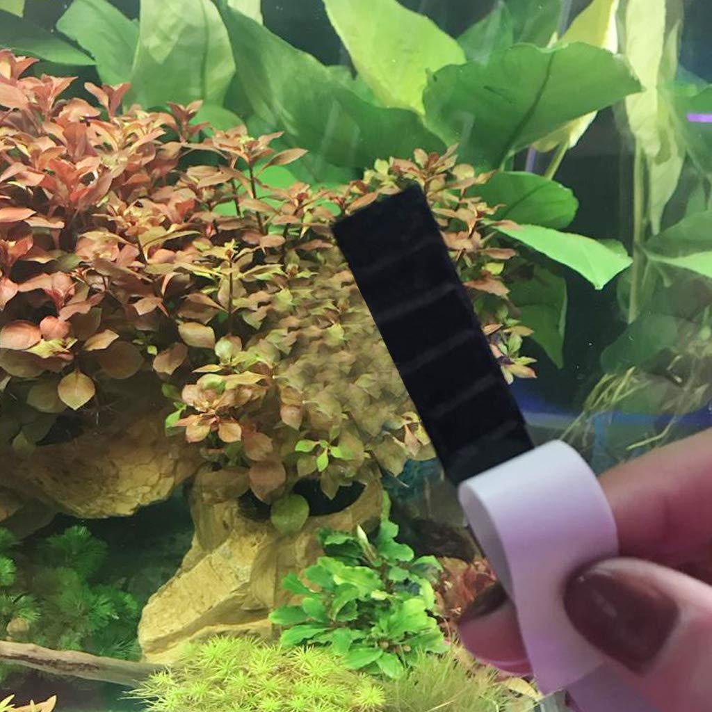 Youngy Digital Aquarium Thermometer Sticker - Accurate Fish Tank Temperature Monitor for Freshwater & Saltwater Tanks - Easy Stick-on Design for Glass Aquariums (Perfect for Home, Office, or Classroom Fish Tanks)