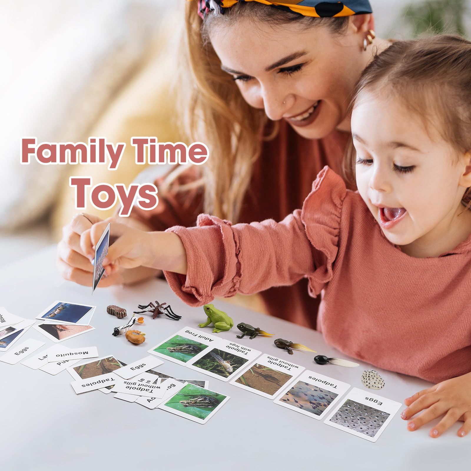Live Tadpole to Frog Life Cycle Educational Toys for Kids 3-5 | Mosquito & Bug Figurines Set | Animal Matching Game for Toddlers | Preschool Science Learning Toys for Classroom & Homeschooling
