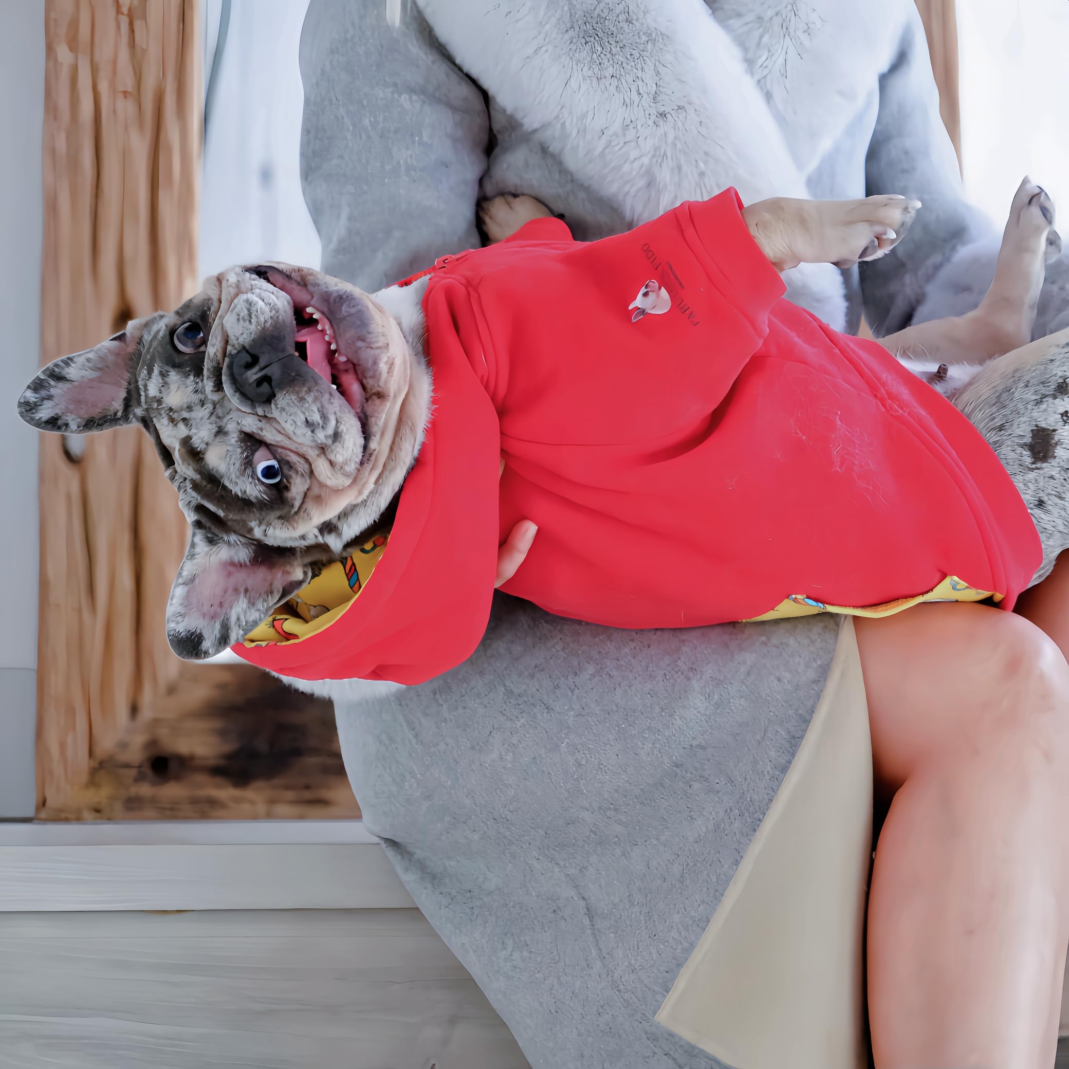 French Bulldog Hoodie for Dogs - Cotton Pet Sweatshirt with Pocket - Breathable & Skin-Friendly Dog Apparel for Small Breeds (XS) - Perfect for Outdoor Walks & Winter Fashion