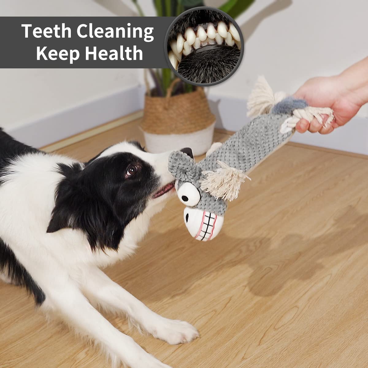 PAZ'S GIFT Interactive Dog Toys for Teething Puppies - Squeaky Stuffed Animal Toy with Cotton & Crinkle Paper - Indestructible Chew Toy for Small, Medium & Large Dogs (Donkey) - Perfect for Playtime, Training & Anxiety Relief