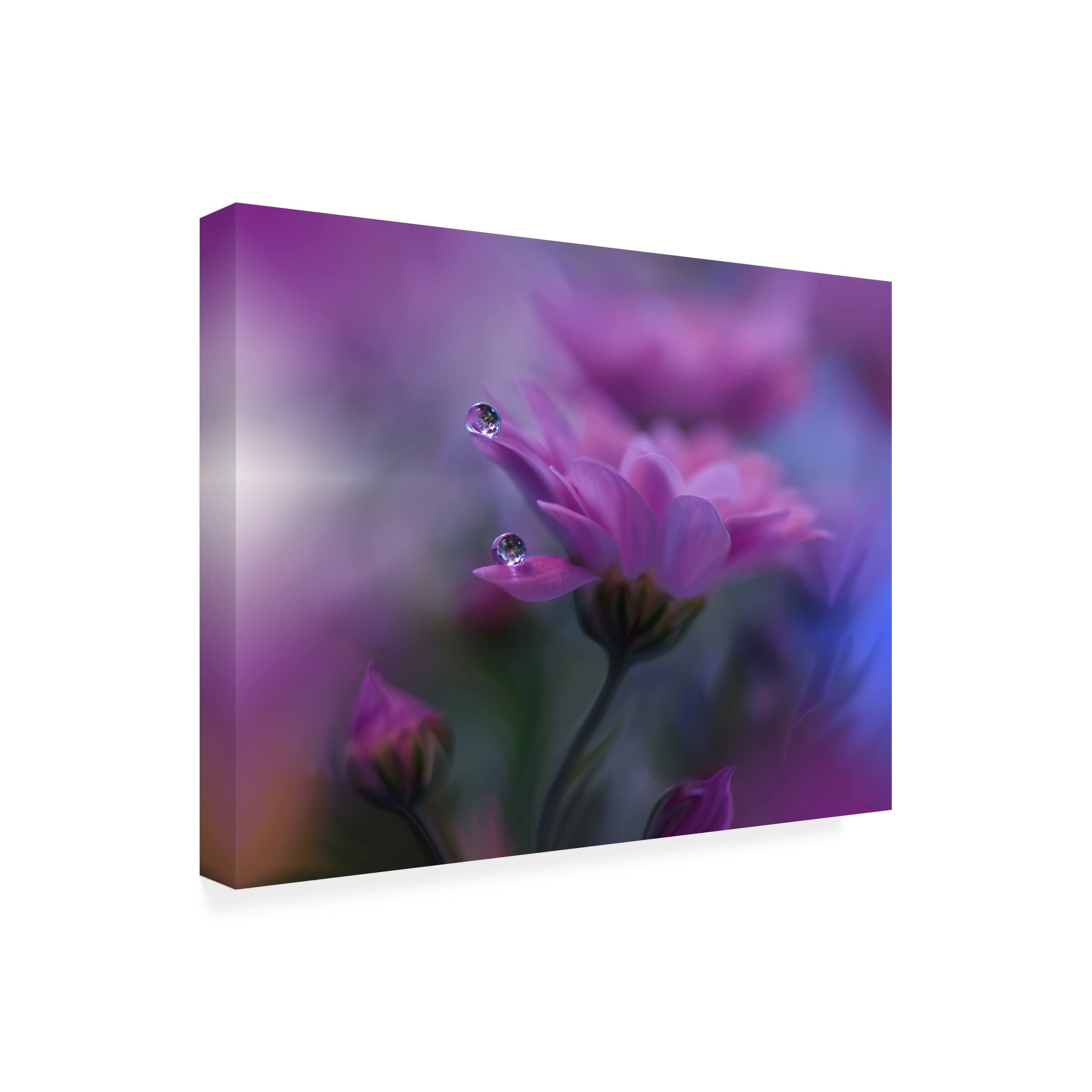 Trademark Fine Art 'All Of Me...' Canvas Wall Art by Juliana Nan - Stunning Home Decor for Living Room, Bedroom & Office