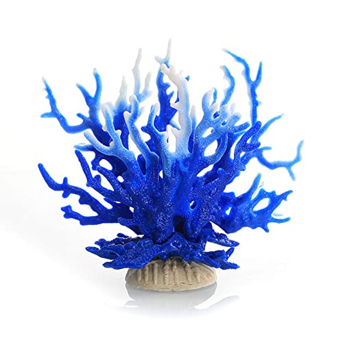 Ct107 Blue White