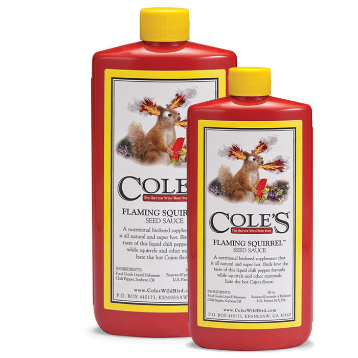Cole's Flaming Squirrel Seed Sauce - Hot & Spicy Gourmet Condiment for Wings, Burgers & BBQ | Perfect for Game Day & Outdoor Grilling