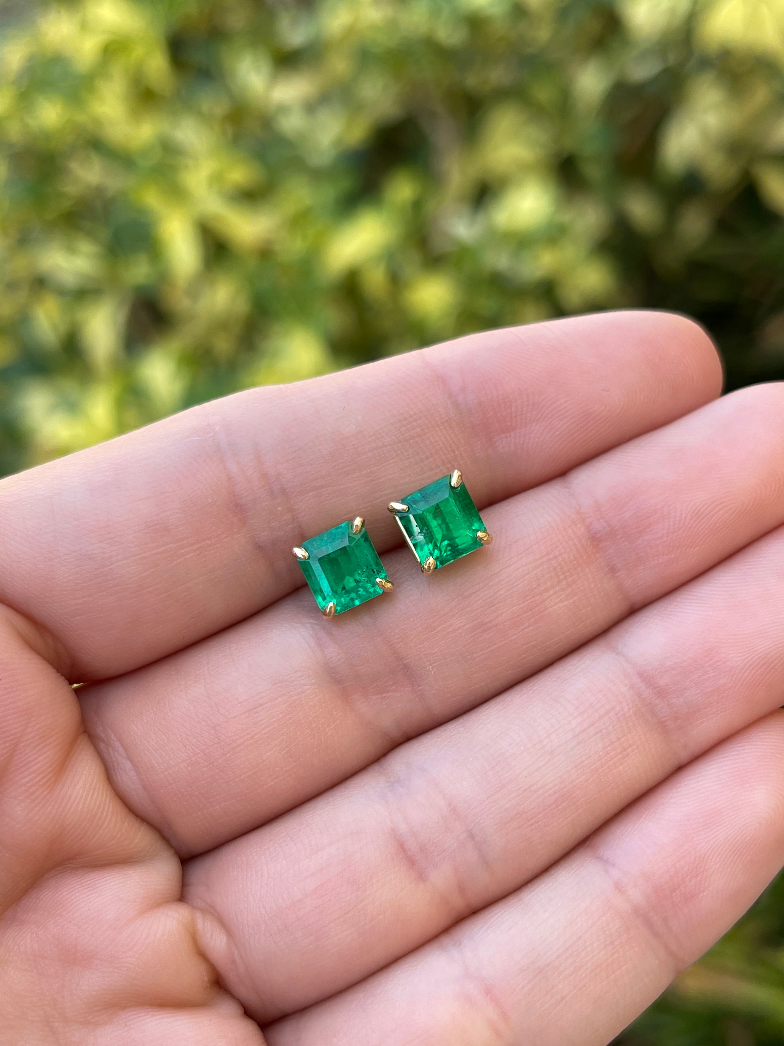 3.18tcw 7x7 AAA+ Muzo Green Asscher Cut Colombian Emerald Stud Earrings in 18K Gold - Perfect for Weddings, Anniversaries & Special Occasions