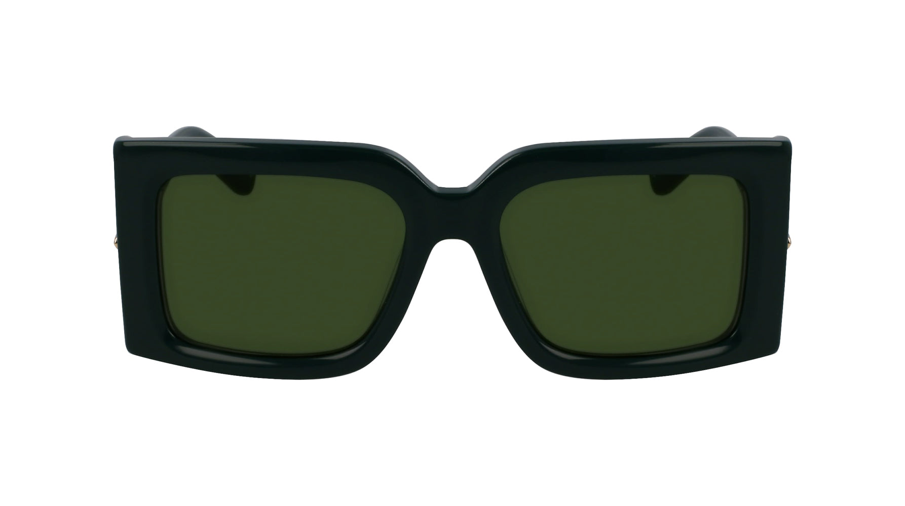 Ferragamo SF2032S Sunglasses for Women - Luxury Designer Shades with UV Protection - Perfect for Outdoor Activities, Travel & Fashion Accessories