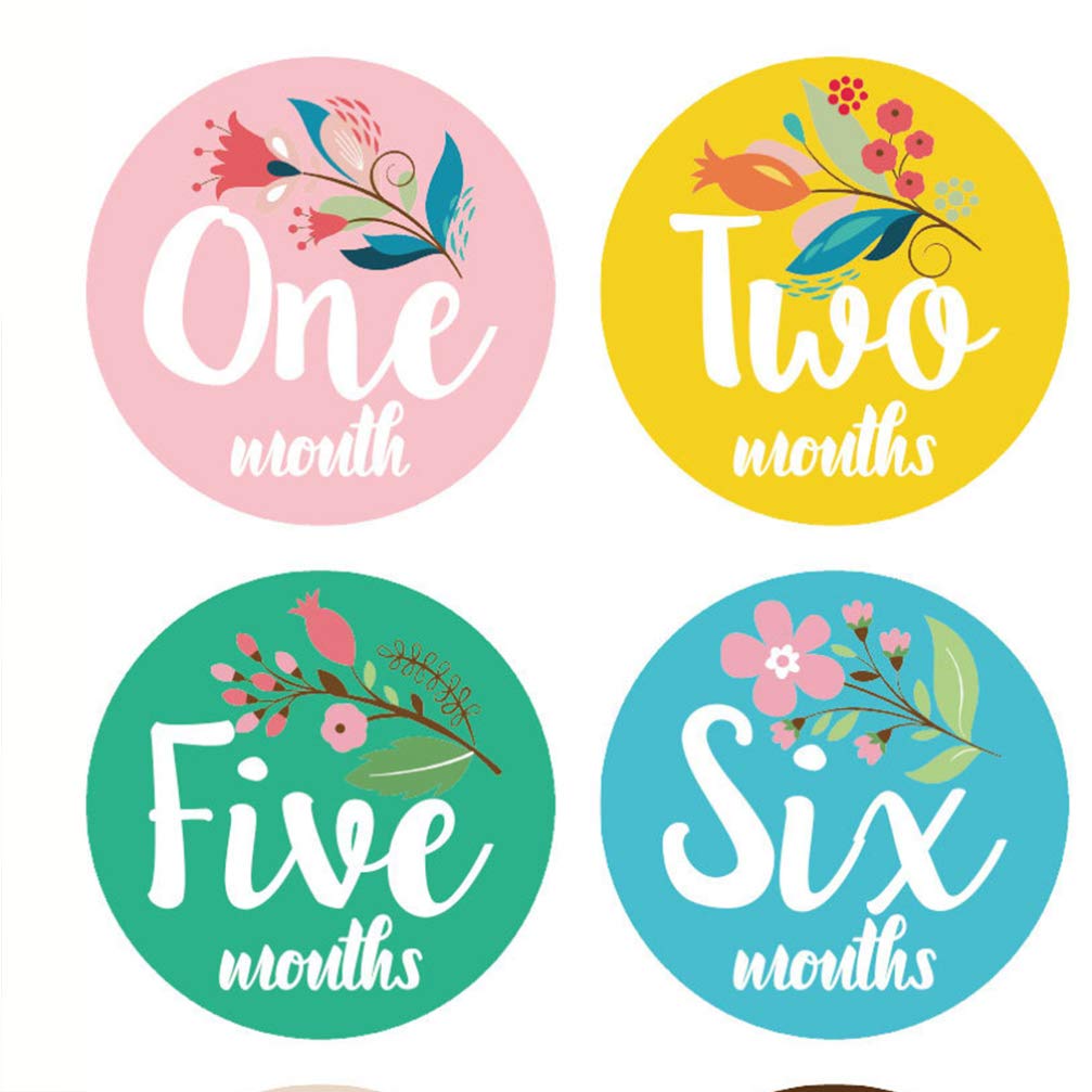 Ciieeo 12-Month Baby Milestone Stickers Set - Floral Cute Infant Growth Photo Props for Newborn Girls | Perfect for Monthly Baby Photos, First Birthday Decorations & Nursery Wall Art