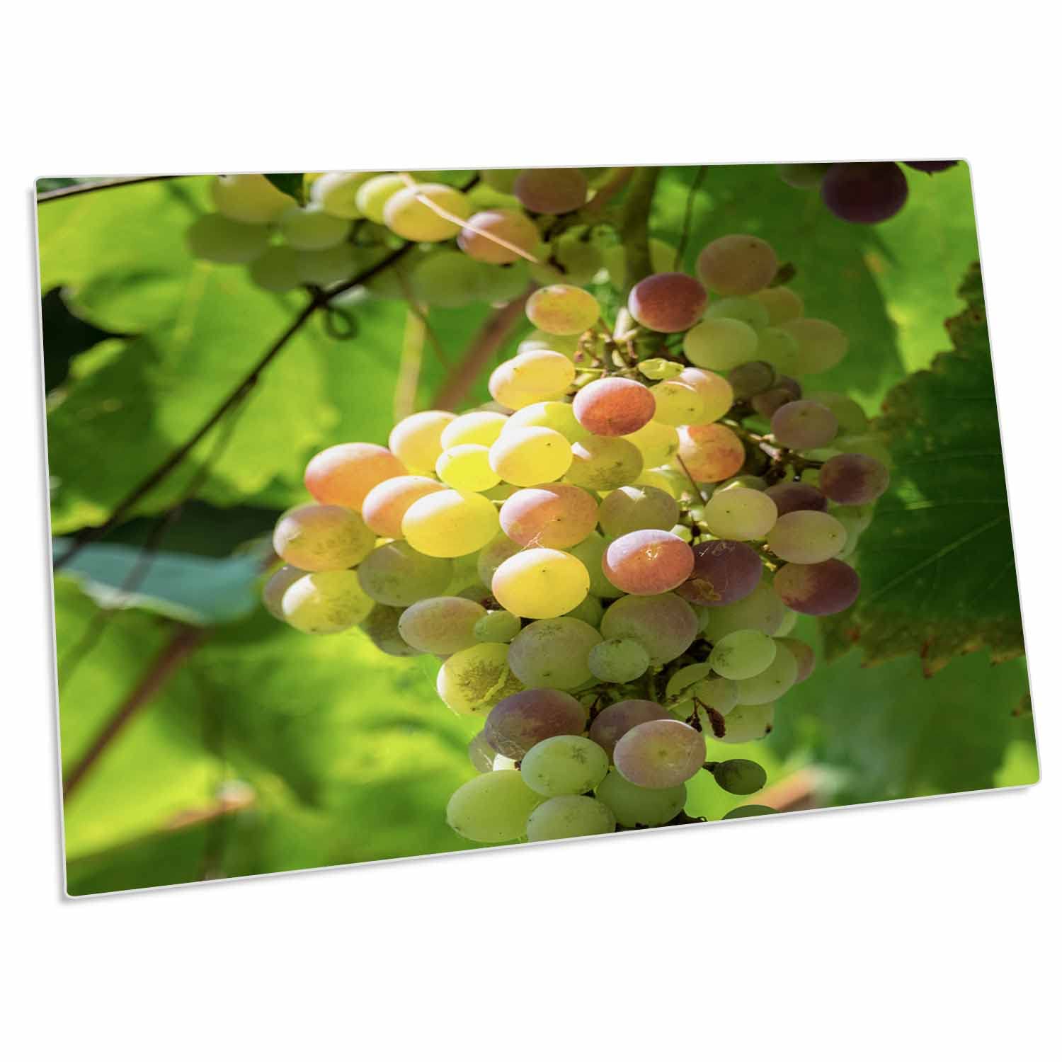 3D Rose Grapevine Corfu Greece Europe Desk Pad Place Mats Set of 4 - Non-Slip Table Protector for Dining, Kitchen, Office - dpd-277443-1