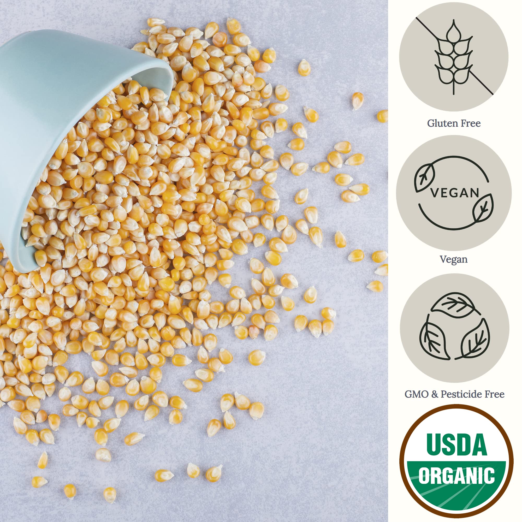 Organic Yellow Popcorn Kernels (2.8 lb) - Hulless, Non-GMO, USDA Certified, Vegan, USA Grown - Perfect for Movie Nights, Healthy Microwave Snacks & DIY Popcorn - Great for Family Gatherings, Movie Theaters & Home Popping Machines