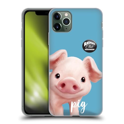 Pig