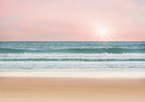 Ocean N169
