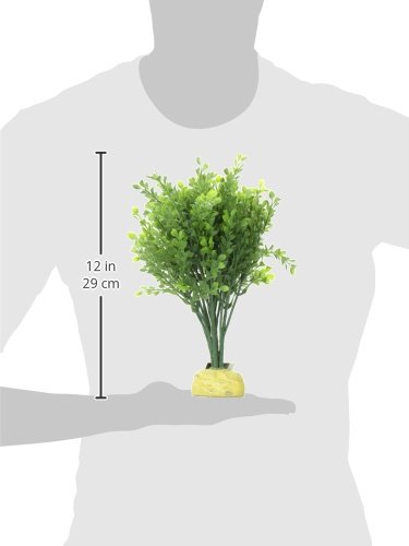 Exo Terra Boxwood Bush Terrarium Plant - Artificial Green Shrub for Reptile Habitat, Vivarium Decoration - Perfect for Gecko, Frog, and Snake Enclosures