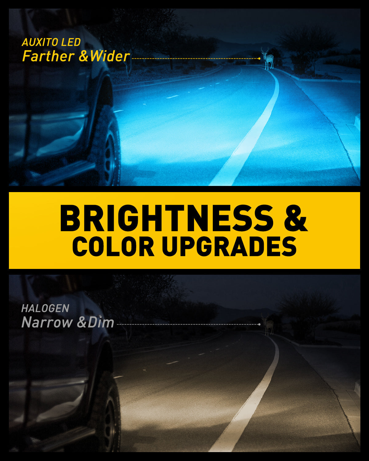 H11 H8 LED Fog Light Bulbs 8000K Ice Blue - Super Bright Waterproof Fog Lights for Cars, Trucks, SUVs - Enhanced Visibility in Rain, Snow & Foggy Conditions