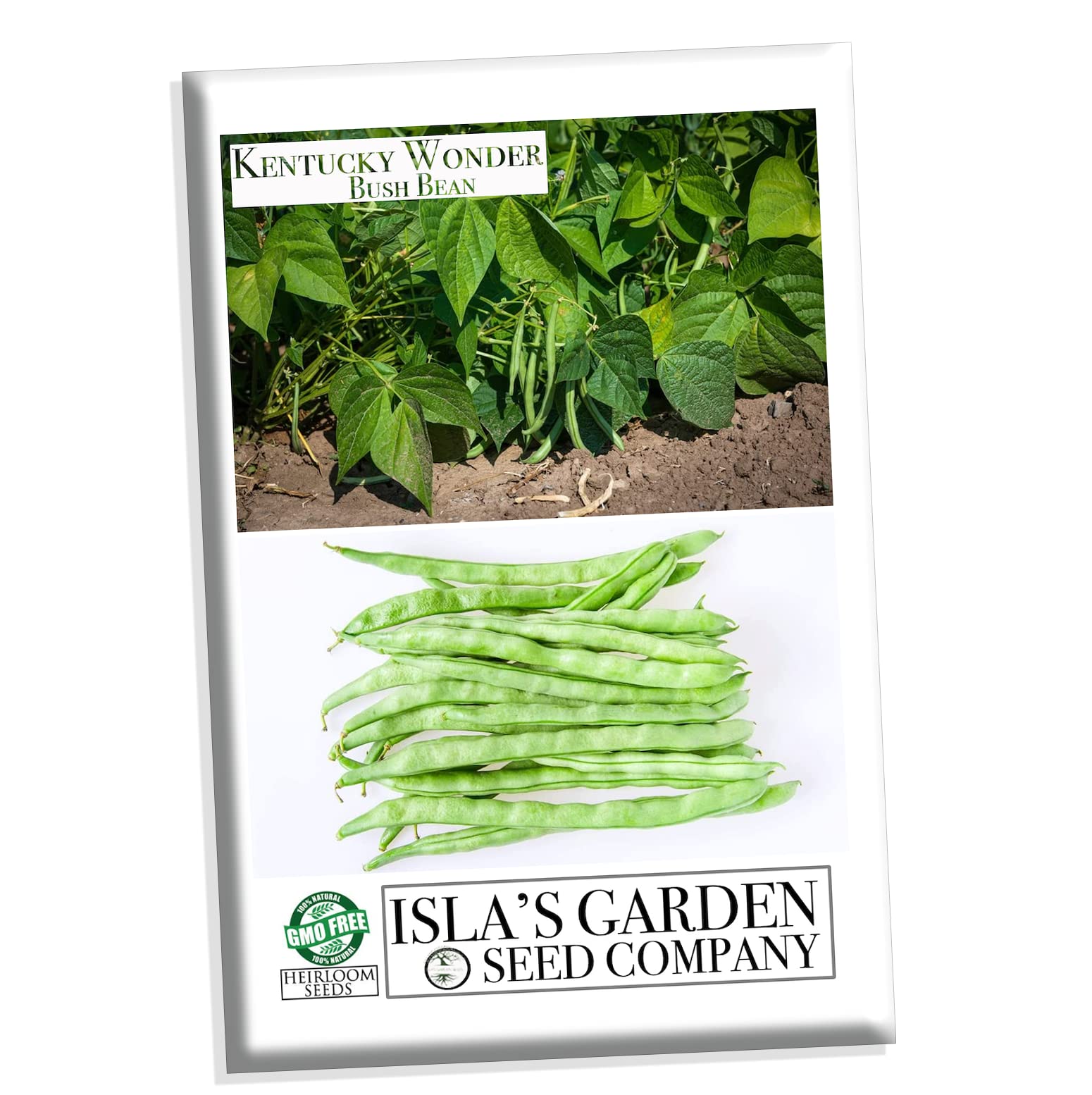 Kentucky Wonder Bush Bean Seeds for Planting - 30+ Heirloom, Non-GMO Phaseolus vulgaris Seeds by Isla's Garden | Perfect for Home Gardening, Vegetable Patches & Organic Farming