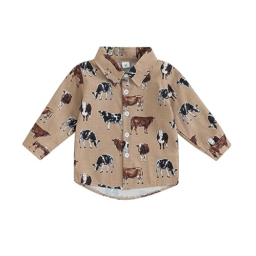 Cattle