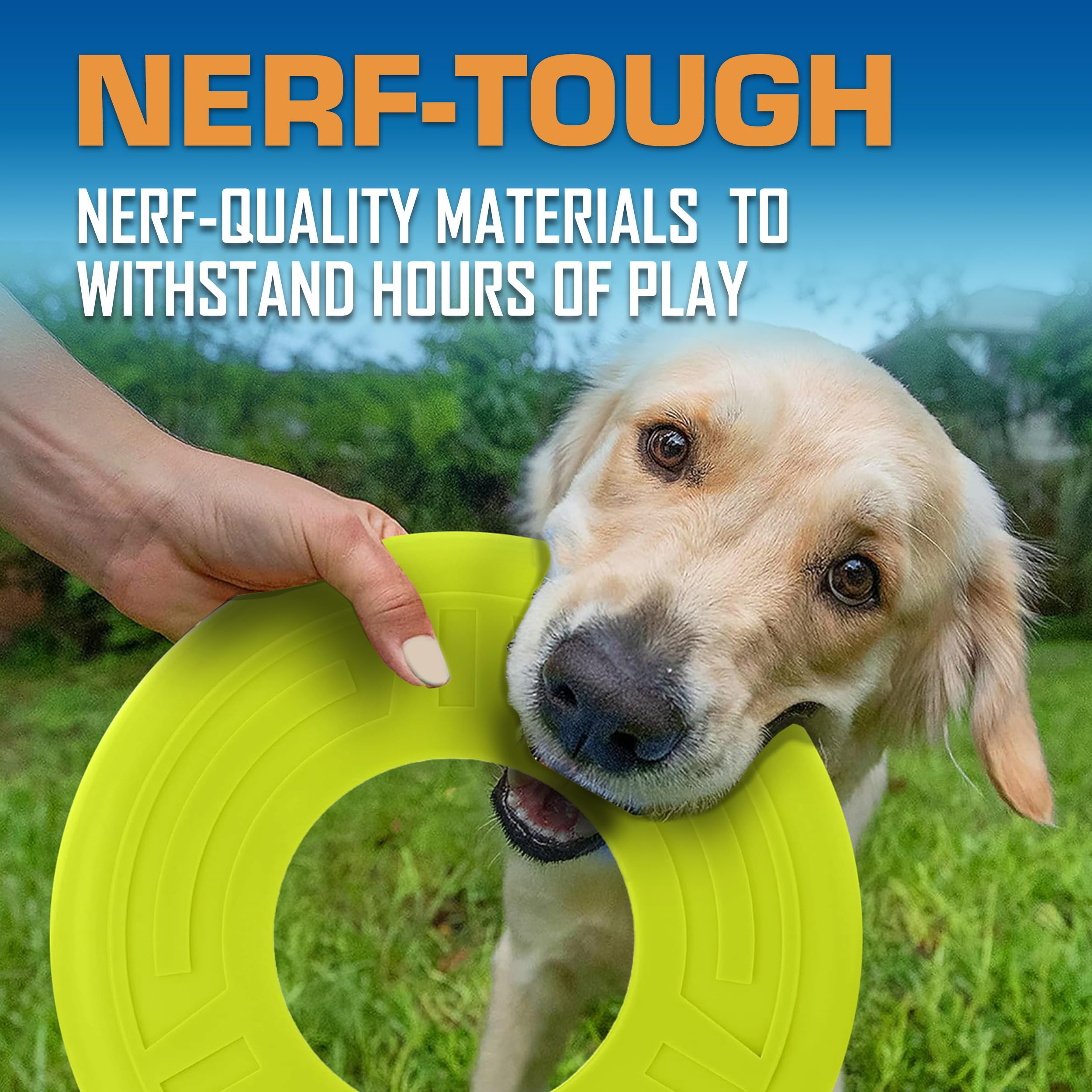 Nerf Dog Atomic Flyer - 10 Inch Durable Rubber Flying Disc Dog Toy for Medium & Large Breeds - Perfect for Outdoor Fetch, Beach Play & Backyard Training - Green