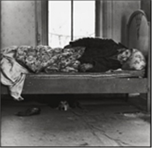 Americans: The Social Landscape From 1940 to 2006 - Historical Sociology Book for US Culture Studies & Social Trends Research