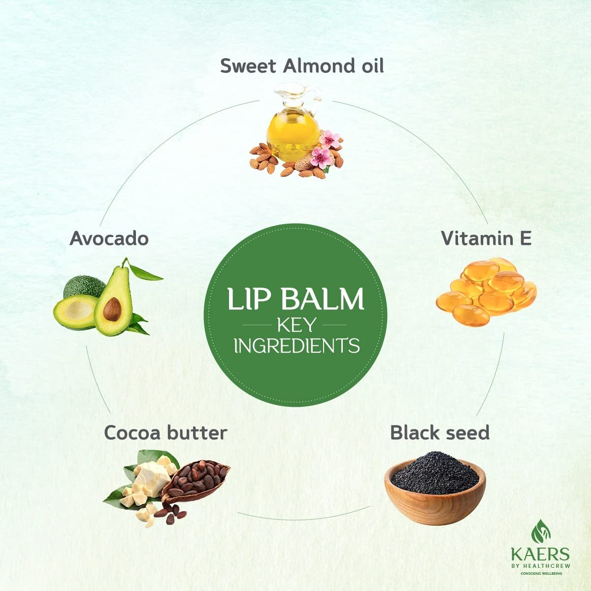 Kaers by Healthcrew Luscious Lip Balm - Black Seed (Kalonji) & Avocado with Vitamin E - 8g (Pack of 2) | Hydrating & Nourishing Lip Care for Dry, Chapped Lips - Day & Night Use